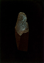 interiorlifestyle2019