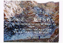 本小松石に魅せられて