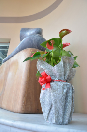 ストーンロール